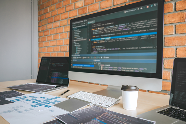 Custom Development Solutions